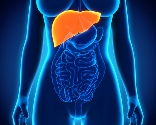 Cirrosi da epatite C: marker genetico predice recupero dopo terapia