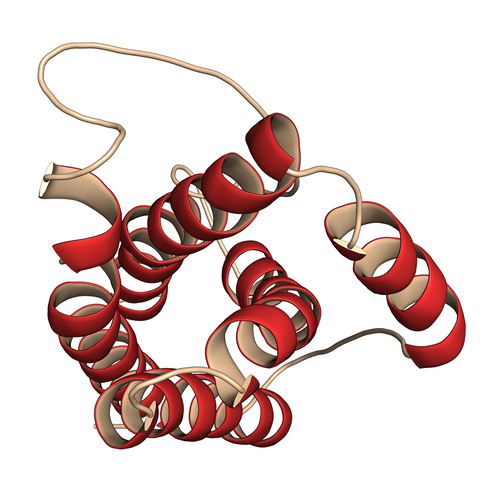 Artrite reumatoide: tocilizumab vincente in combinazione con il metotrexate