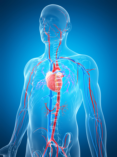 Iperlipidemia e maggiore PWV: anche in chi vive in zone rurali