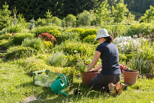 Erbicidi e pesticidi? Sos Bpco