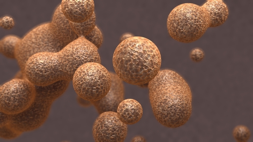 Manipolare il microbioma intestinale grazie a un virus