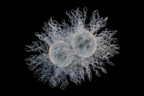 Gonorrea: test rapidi per limitare diffusione resistenze