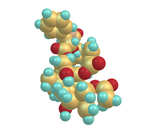 Tumore mammario: guanti e calze congelati riducono rischio CIPN