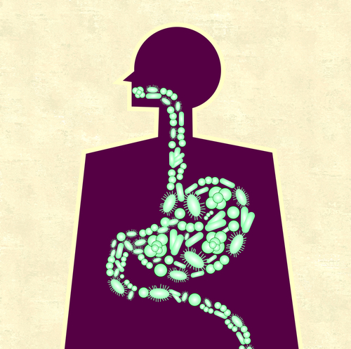 Comunità microbiche gastrointestinali e carcinogenesi gastrica: meta-analisi