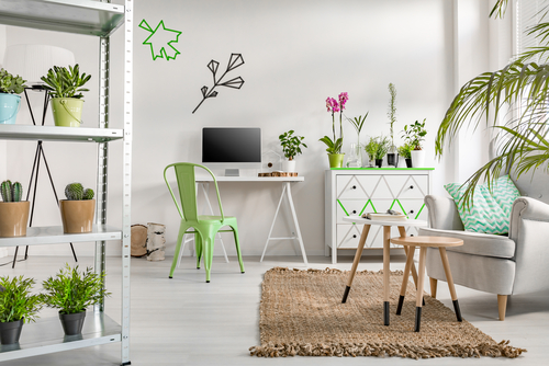 Con le piante in aula giù CO2 e polveri sottili nelle scuole