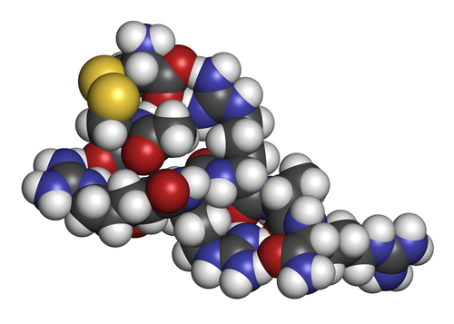 Iperparatiroidismo secondario da IRC: in arrivo nuova possibilità terapeutica
