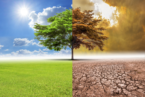 Cambiamenti climatici, +2,3 milioni di morti da calore in 854 città europee entro il 2099. Lo studio