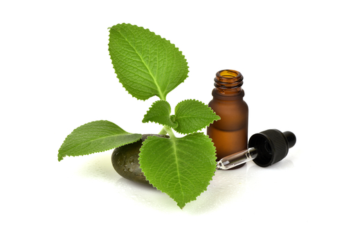 Asma: possibile effetto terapeutico del carvacrolo