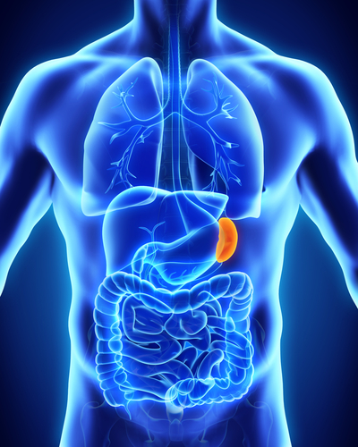 Dimensione milza, marker di infiammazione attiva nella malattia di Crohn