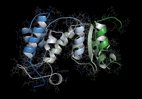 Mieloma multiplo: daratumumab pronto per la prima linea