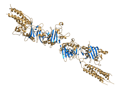 Coronaropatie stabili: D-dimero predice mortalità a 16 anni