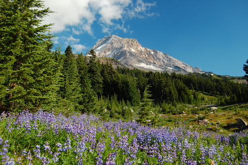 Asma grave incontrollata: l’effetto benefico del clima alpino
