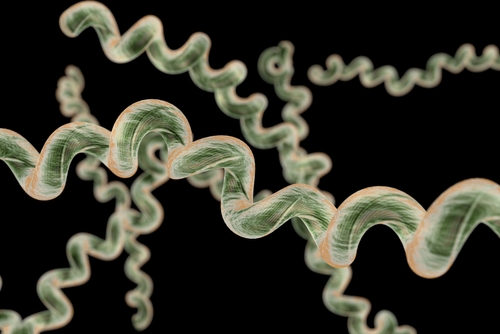 Malattia di Lyme: nuove linee guida favoriscono test anticorpali