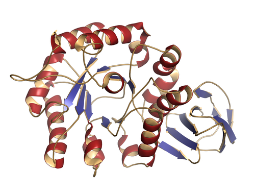 Malattia di Fabry. Sintomi a livello delle articolazioni influenzano qualità della vita