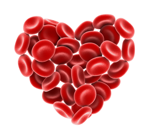 Giornata Mondiale Emofilia. Carta dei diritti per assistenza omogenea