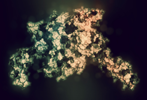 Ruolo delle integrine nella guarigione delle ferite e sue implicazioni parodontali