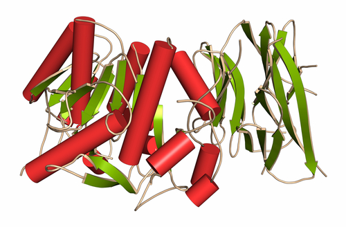 PCSK9-9nibitori più convenienti nei pazienti diabetici?