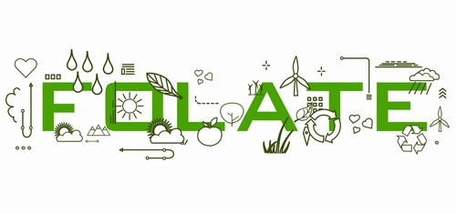 Folati, metabolismo monocarbonioso e rischio melanoma maligno