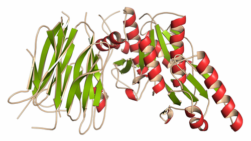 Coronaropatie acute: alirocumab migliora esiti