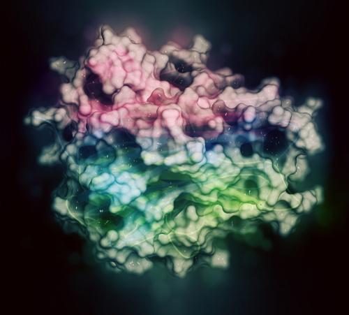 Psoriasi associata a TNF-alfa inibitori nei bambini con patologie infiammatorie