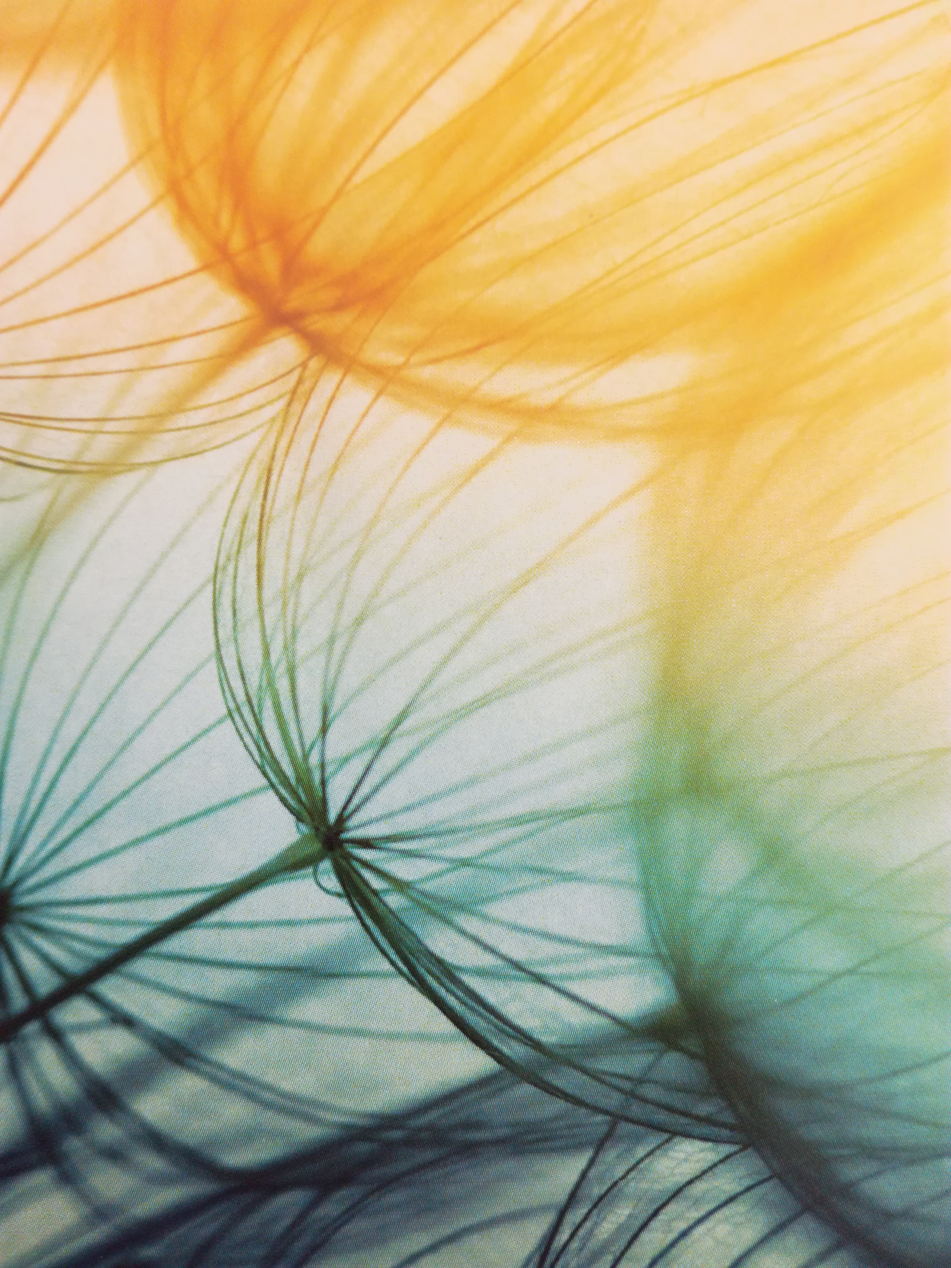 Mucopolisaccaridosi, Anderson-Fabry, Gaucher: tre malattie rare sotto la lente