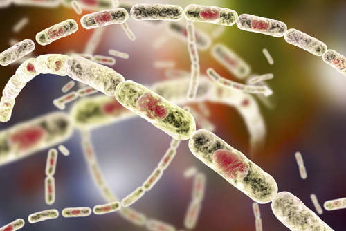 Antrace: breve checklist facilita triage dopo un evento espositivo di massa