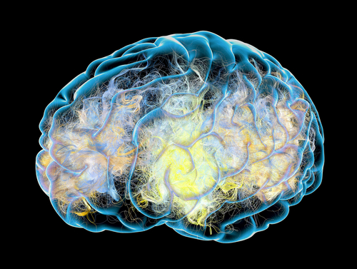 Herpesvirus e disturbi del neurosviluppo infantile: meta-analisi