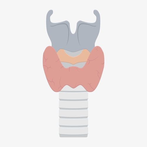 Laringomalacia e disfunzioni della deglutizione
