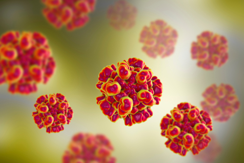 Epatite E: prevalenza ed impatto in soggetti con epatite B cronica