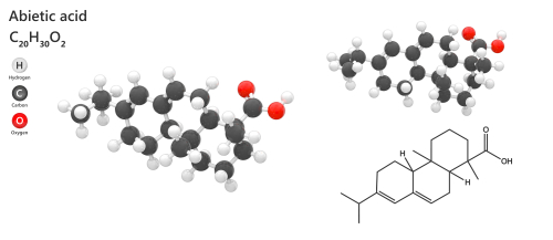 S. mutans: efficace l’acido abietico come antimicrobico ed antibiofilm