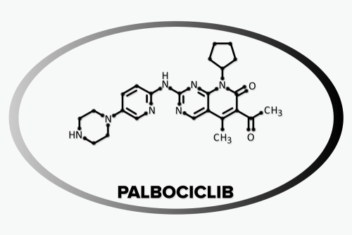 Palbociclib protegge follicolo pilifero dal danno da taxani