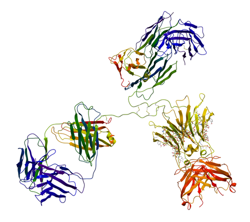CIDP: punteggio MUMIX marker di risposta a immunoglobuline
