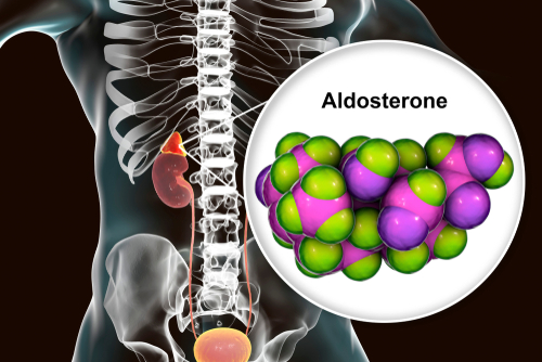 Aldosterone porta ad incremento sperimentale della trombosi