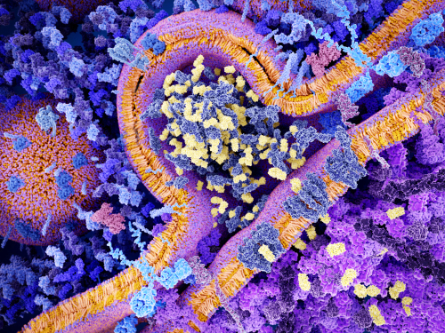 Car-T: Axicabtagene ciloleucel rimborsato anche in Italia