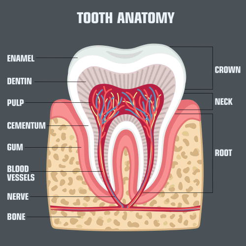 Salute dentale e mucopolisaccaridosi: impatto negativo da problemi di occlusione