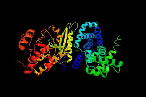 CDK4/6 inibitori e tumori mammari: chi ne trae beneficio?