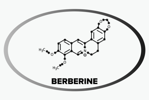 Polipectomia: promettente la berberina per la chemioprevenzione