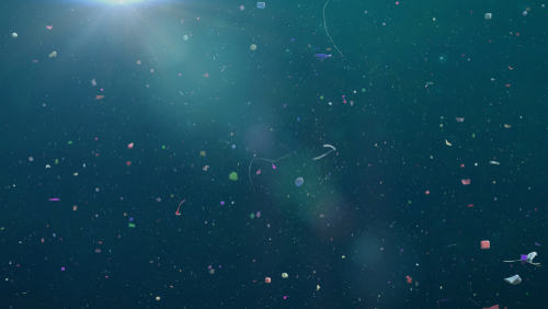 Microplastiche e nanoplastiche nel cervello: implicazioni per la salute