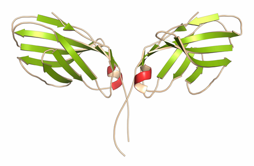 Artrite reumatoide: abatacept più efficace nei pazienti mai trattati con biologici