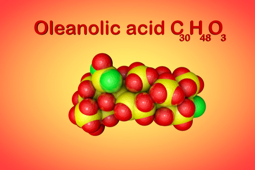 Morbo di Alzheimer: acido oleanolico allevia stress ossidativo