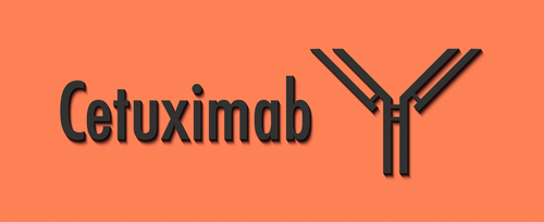 Metastasi epatiche colorettali resecabili: cetuximanb riduce la sopravvivenza