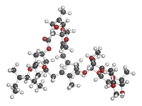 Tumori ovarici epiteliali: ivermectina potenzia efficacia del cisplatino