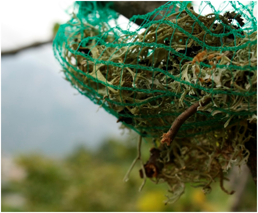 Emergenza clima. Esperti OMS: gravi impatti sulla salute per le donne incinte, i bambini e gli anziani