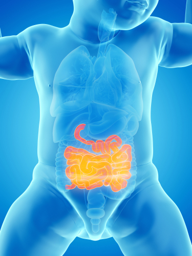 L’intestino dei bambini brulica di oltre 200 specie di virus sconosciuti