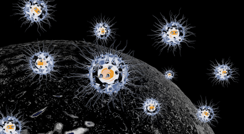 Car-T: modelli murini e antigene GPC1