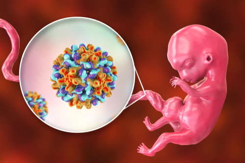 In Europa lacune e differenze nel trattamento dell’epatite B durante la gravidanza