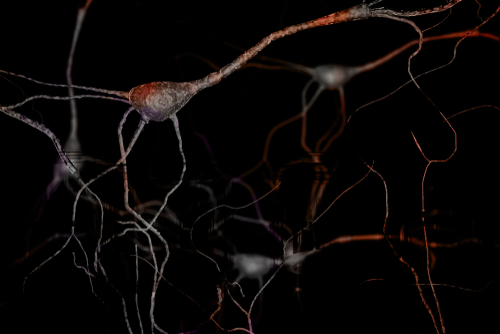 Risolta per la prima volta la struttura del recettore della dopamina attivo