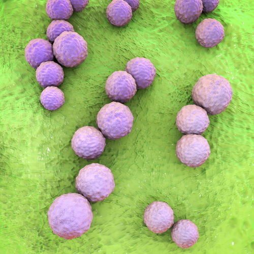 Lo streptococco non è più stagionale