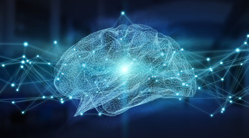 I circuiti cerebrali tra memoria e decisioni