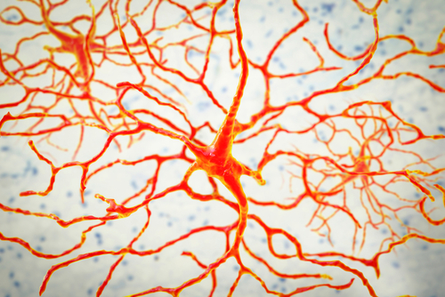 Nistagmo congenito: la causa non è nel cervello, ma nella retina